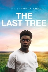 The Last Tree постер