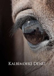 Deniz Inside My Heart постер