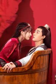 The Wolf Princess poster