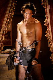 Houdini, Der Meistermagier (2014)