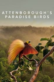 Poster for Attenborough's Paradise Birds