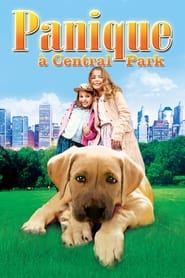 Panique à Central Park movie