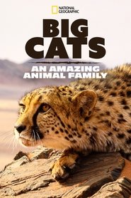 Poster Big Cats: An Amazing Animal Family 2015