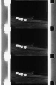 Poster Playing Dice 1972