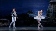 Swan Lake en streaming