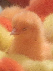 Ether Reveries (Suite for Th&eacute;r&egrave;se Rivi&egrave;re no.2) (2017)