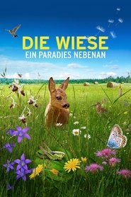 Poster Die Wiese: Ein Paradies nebenan 2019