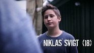 Niklas' failure