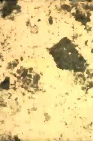 The Whispers of Indi-Go