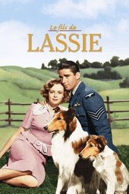 Le Fils de Lassie streaming