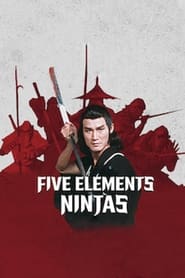 Five Element Ninjas постер