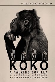 Koko: A Talking Gorilla постер