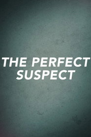 The Perfect Suspect постер