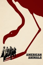 Se American Animals Med Norsk Tekst 2018