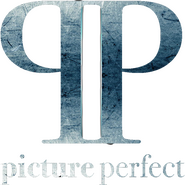 Picture Perfect