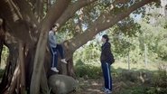 Meet You At the Tree