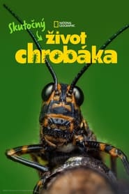 Skutočn&yacute; život chrob&aacute;ka