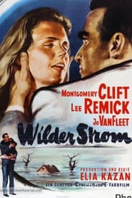 Wilder Strom (1960)