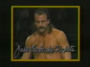 January 10, 1987 - Superstars of Wrestling #19