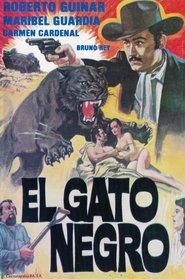 Poster El Gato Negro 1987