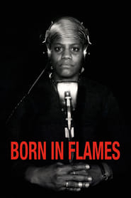 Born in Flames постер