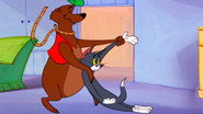 Down Beat Bear