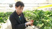Global Branding Through Smart Farming