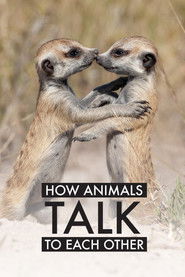 How Animals Talk To Each Other (2024)