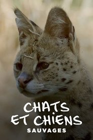 Chats et chiens sauvages (2022)