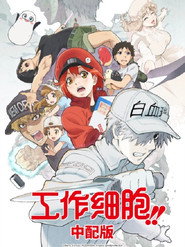 Cells at Work! Cells at Work!! 13