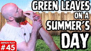 Green Leaves On a Summer's Day