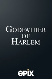 Godfather of Harlem ver Online HD Ver online HD Godfather of Harlem Online
