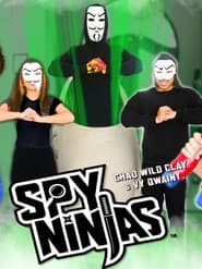 Spy Ninjas: The End poster