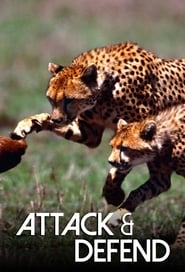 Attack and Defend - Season 1