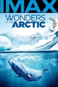 Wonders of the Arctic 3D постер