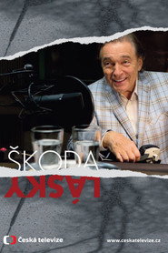 &Scaron;koda l&aacute;sky (2013)