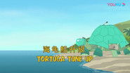 Tortuga Tune-Up