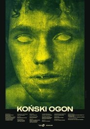 Poster Koński ogon