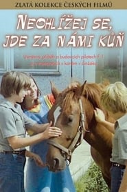 Don't Look Back, There Is a Horse Behind Us 1979 映画 吹き替え