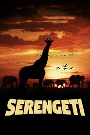  Serengeti