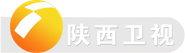 Shaanxi Television
