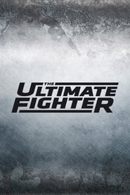 The Ultimate Fighter постер