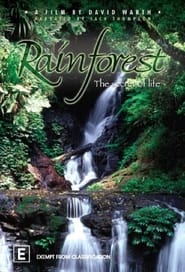 Poster Rainforest: The Secret Of Life