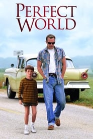 Poster Perfect World