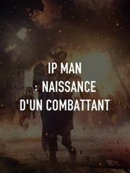 Image Ip Man : Naissance d'un combattant