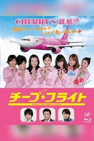 Cheap Flight!! 2013 吹き替え 無料動画