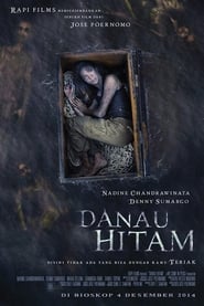 Poster Danau Hitam