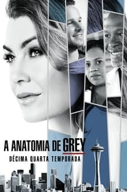 Grey’s Anatomy: Temporada 14