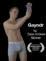 Poster Gayndr II