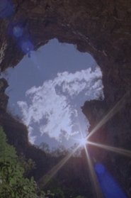 Poster Look Closely at the Mountains 2018